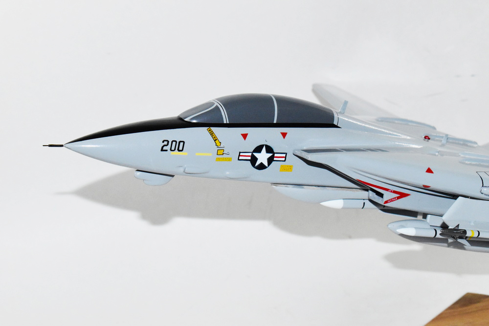 VF-143 Pukin Dogs F-14 Model, 1/42 (18
