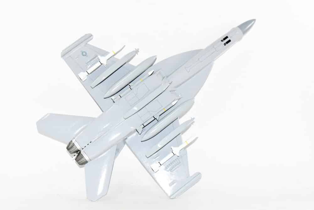 VAQ-209 Star Warriors EA-18G Model