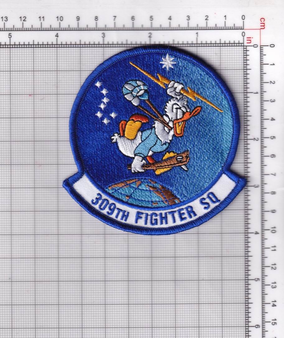 310th Fighter Squadron Patch – Sew On - Squadron Nostalgia