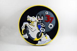 Cadet Squadron CS-37 Plaque