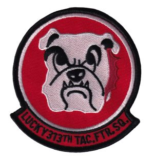 313th Tactical Fighter Squadron Patch