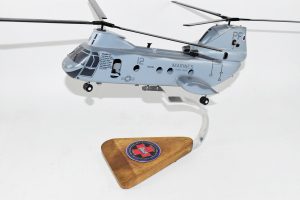 HMM-364 Purple Foxes CH-46 (Morphine 1-2 2007) Model
