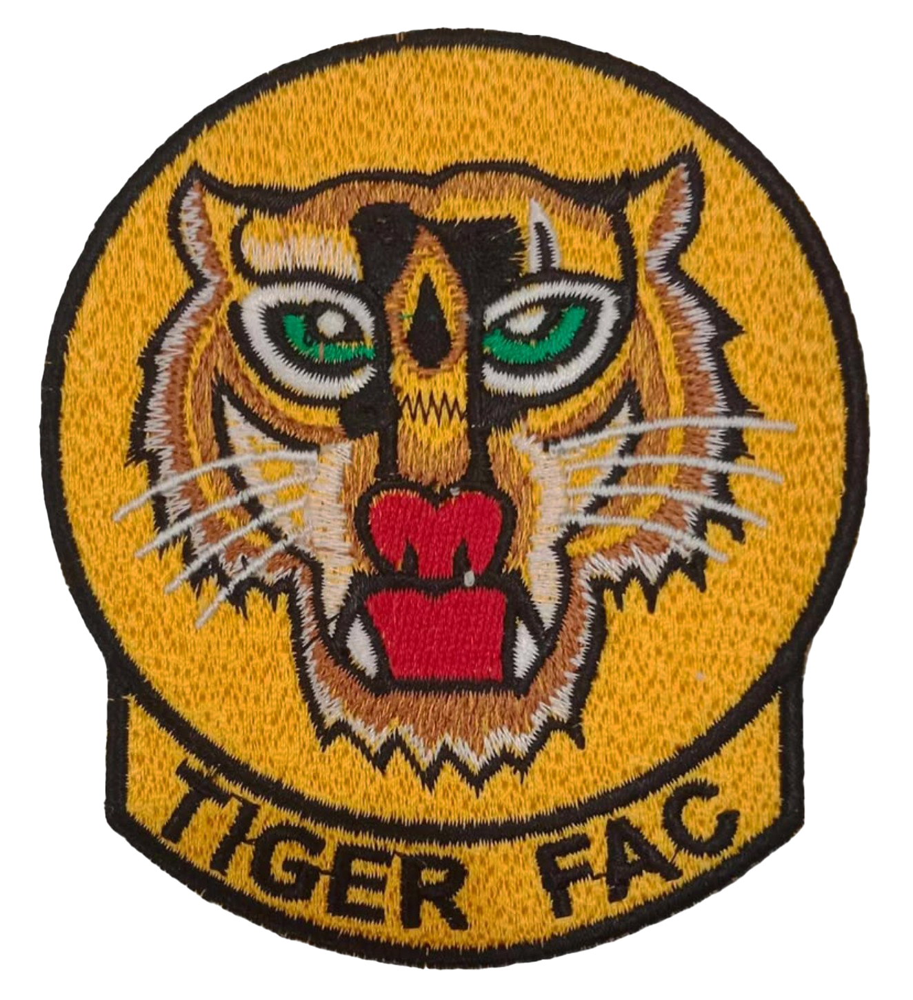 388th Tactical Fighter Wing, Tiger FAC