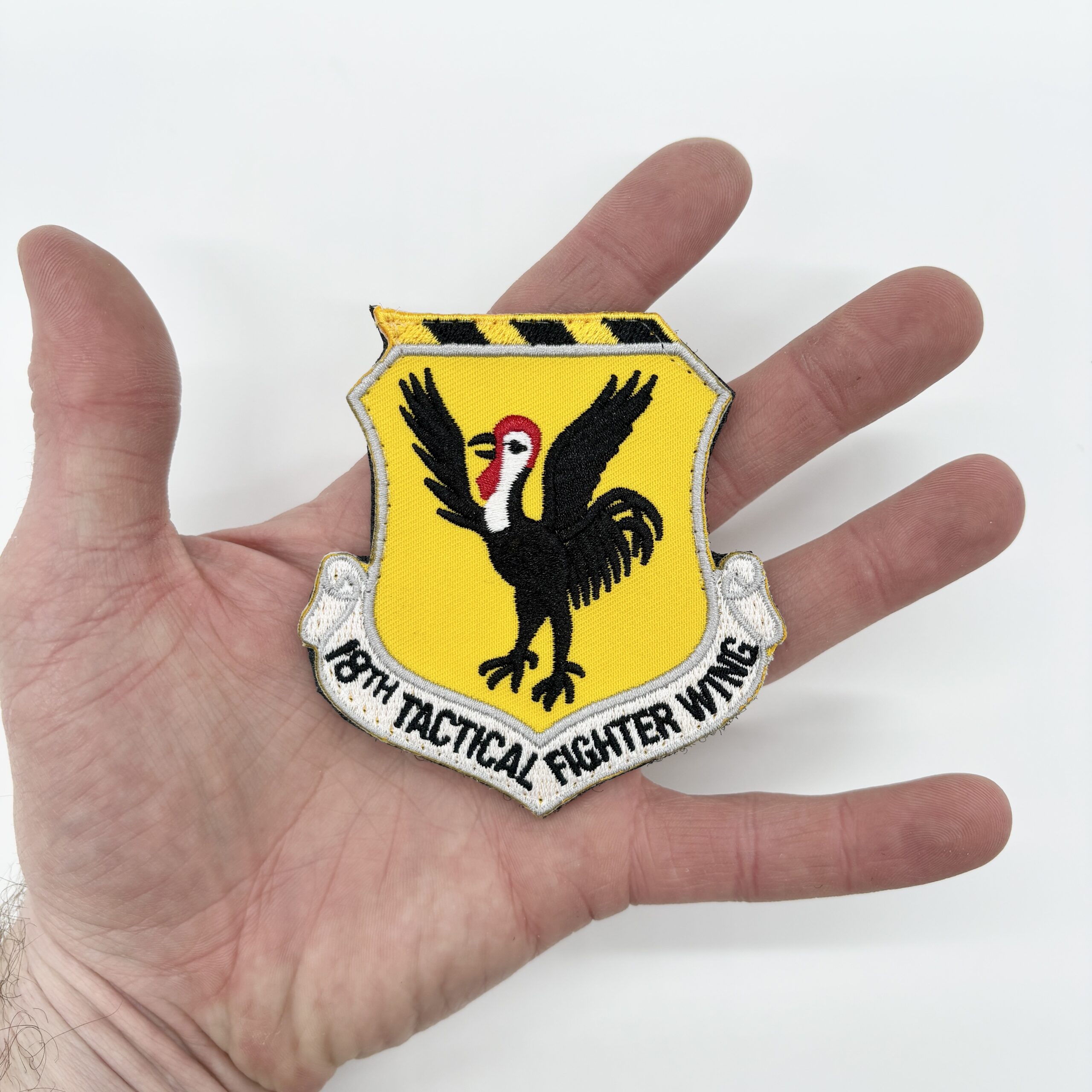 8th Tactical Fighter Wing Patch – With Hook and Loop, 3.5